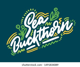 Sea Buckthorn vector illustration.Vector set of element for advertising, packaging design of products.