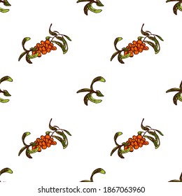 Sea buckthorn vector pattern, isolated on white background. Perfect for printing on fabric, wrapping paper.