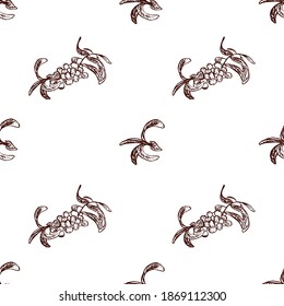 Sea buckthorn vector pattern, isolated on white background. Drawn by hand. Perfect for printing on fabric, wrapping paper.