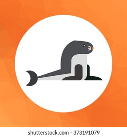 Sea calf icon