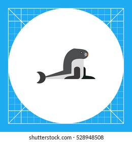 Sea calf icon