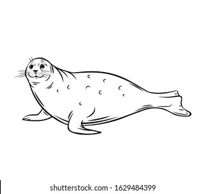 Sea Calf. Seal Animal Outline Icon. Polar Pinniped Mammal, Vector Illustration.