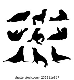 Sea calf seal silhouette set stencil templates svg