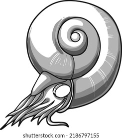 Sea clam in shades of gray vector hand drawn for coloring books
