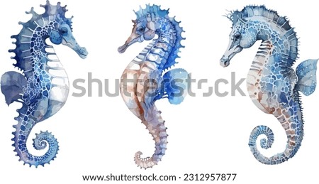 Sea ​​Horse clipart, isolated vector illustration.