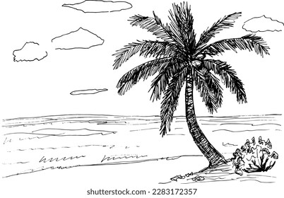 Playa gráfica de costa marina con palma blanca de paisaje de boceto vector