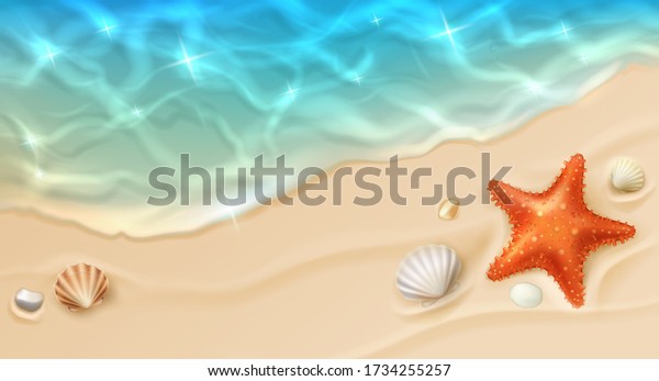 砂 海の波 貝殻 星魚のトップビュー 砂浜 青の透明な水面 小石 コンチのある漫画のベクター画像ビーチ エキゾチックな熱帯のプラージュ パラダイス島 のベクター画像素材 ロイヤリティフリー