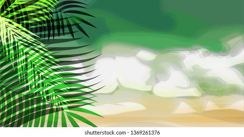 Sea coast. Summer