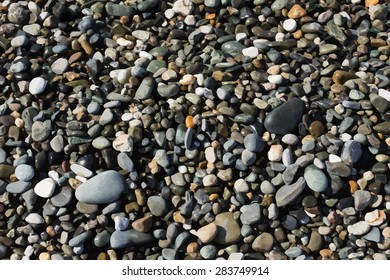 Sea coast vector background