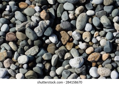 Sea coast vector background
