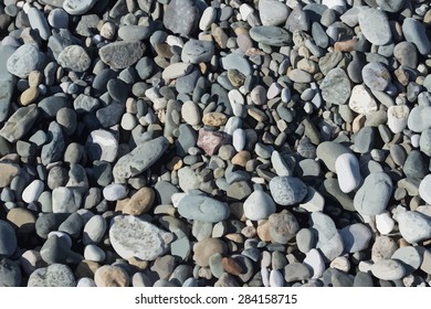 Sea coast vector background