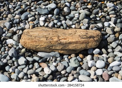 Sea coast vector background