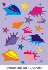 Sea cockleshells (collection)
