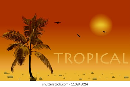 Sea and coconut palm. Vector sunset