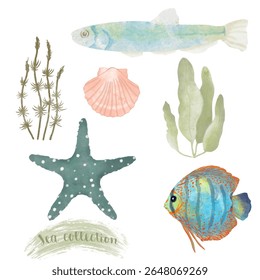 Coleção marinha de peixes, algas, conchas marinhas, estrela do mar em cores pastel neutro. Clipart aquarela