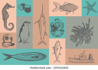 Sea collection hand drawn vector set