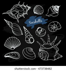 Sea collection with hand drawn vector seashells on chalkboard background