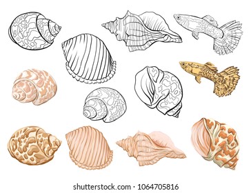 Sea collection. Original hand drawn. Vector illustration. Outline hand drawing.  Isolated on white background. Isolated on white background. Isolated on white background.