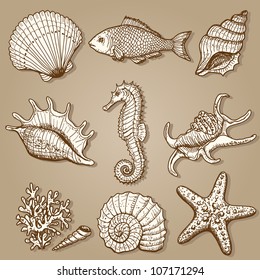 Adult Coloring Page Seashells Seahorse Starfish Stock Vector (Royalty ...