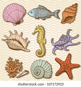 Sea collection. Original hand drawn illustration in vintage style