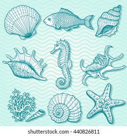 Sea collection. Original hand drawn illustration in vintage style