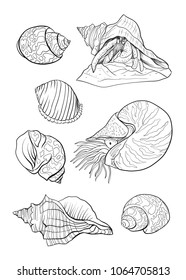 Sea collection. Original Vector illustration. Outline hand drawing.  Isolated on white background. 