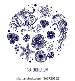 Sea collection. Set of hand drawn elements.
