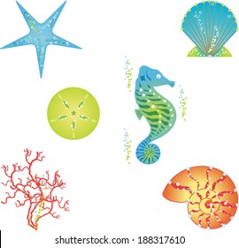 Sea collection. Vector isolated illustrations of sea star, shell, seahorse, coral, sponge and nautilus