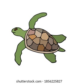 Sea ​​turtle colorful  doodle drawing. Simple vector illustration isolated on white background.