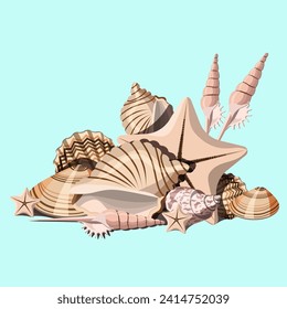 Sea composition from seashells isolated on a turquoise background.Vector illustration for textiles, paper, summer designs.