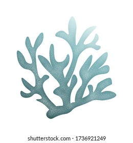 Sea coral, blue isolated on white background, stock vector illustration for design and decor, logo, postcard, business card, banner, marine theme, sticker, aquarium