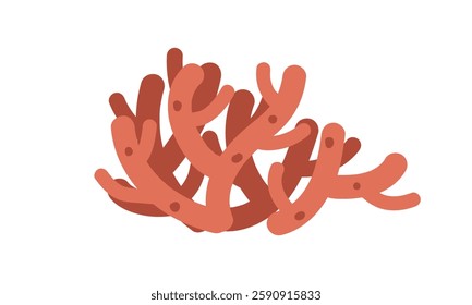 Sea coral cartoon clipart. Cute coral reef vector illustration. Animal in flat style. Sea animals concept isolated on white background