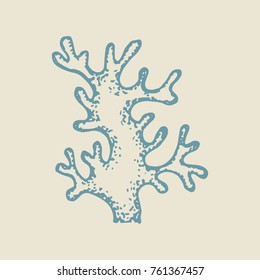 sea coral hand drawing vector. sketch isolated illustration