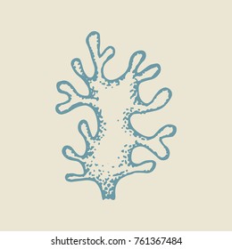 sea coral hand drawing vector. sketch isolated