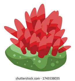 Icono de coral marino. Isométrico icono del vector de coral marino para el diseño web aislado en fondo blanco