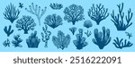 Sea coral reef and seaweed silhouettes. Underwater dark blue plants. Vector set of diverse marine life species found in reef ecosystems. Branching, leafy and fan-shaped corals, rich biodiversity weeds