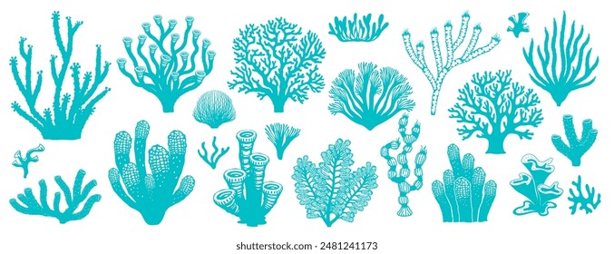 Sea coral reef and seaweed. Vector underwater plants. Aquarium, ocean and undersea algae water and marine life. isolated set of corals or sea weeds and wracks, laminaria, kelp grass biodiversity