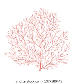 Sea coral silhouette. Vector illustration EPS 10 isolated on white background