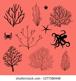 Sea coral silhouette. Vector illustration, EPS 10. Star, octopus, crab