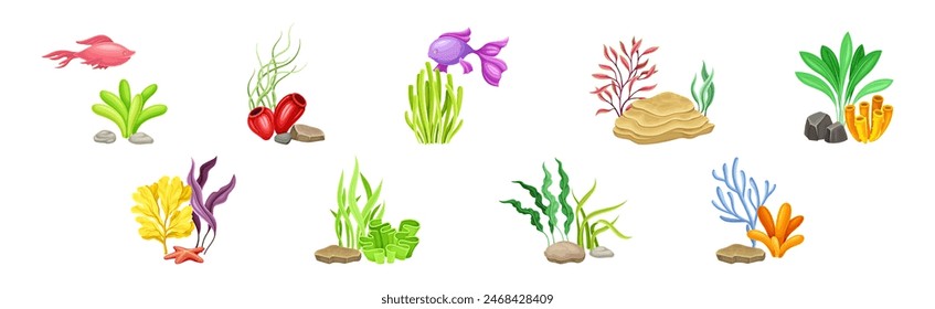 Sea Coral as Underwater Ocean Bottom Object Vector Set