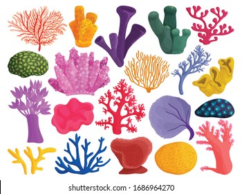 Sea coral vector illustration on white background. Vector cartoon set icon seaweed. Isolated cartoon set icon sea coral.