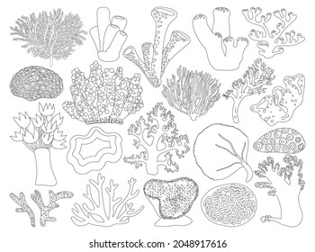 Sea coral vector illustration on white background. Vector outline set icon seaweed. Isolated outline set icon sea coral.