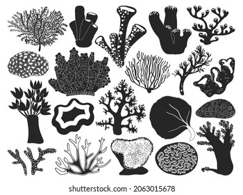 Sea coral vector illustration on white background. Vector black set icon seaweed. Isolated black set icon sea coral.