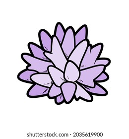 Sea corall object  color variation for coloring page isolated on white background
