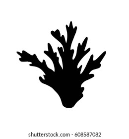 Sea corals