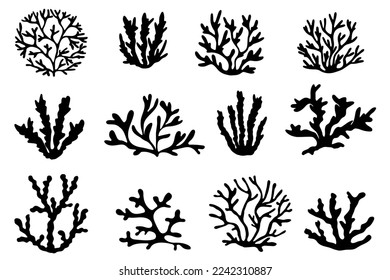 Sea corals and algae black silhouette