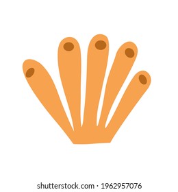 Sea corals, algae on an isolated background. A kind of underwater world. Cute flat vector illustration. Element or banner.