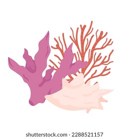 Sea corals branch and seashell. Underwater plants and mollusk. Tropical under water flora and fauna. Flat vector illustration isolated on white background