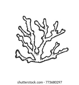sea corals hand drawing vector. sketch isolated