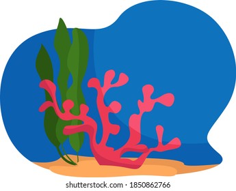 Sea corals, illustration, vector on white background